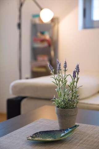 Апартаменты LORDOR Apartment Будва Апартаменты-9